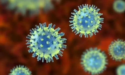 മലപ്പുറത്ത് 186 പേര്‍ക്ക്കൂടി കോവിഡ്; 178 പേര്‍ക്കും സമ്പര്‍ക്കത്തിലൂടെ