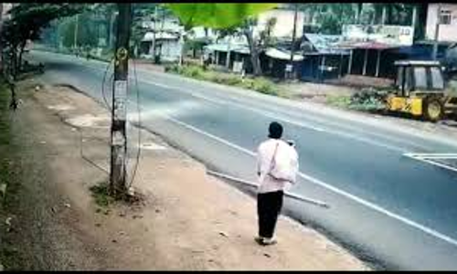 കണ്ടവരുടെയെല്ലാം കിളി പറത്തിയ വീഡിയൊ;  നൂലിഴ വ്യത്യാസത്തിൽ തിരിച്ചുകിട്ടിയത്​ ഒരു ജീവൻ