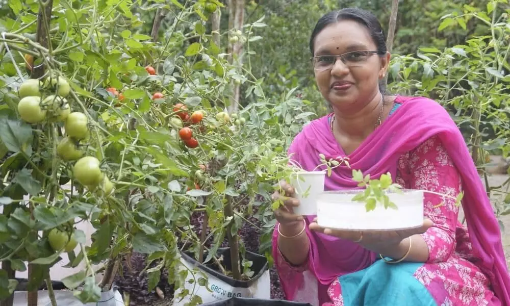 കുട്ടികളും ചെടികളും ഒരുപോലെയാണ്; അനിറ്റ് തോമസ് പറയുന്നു