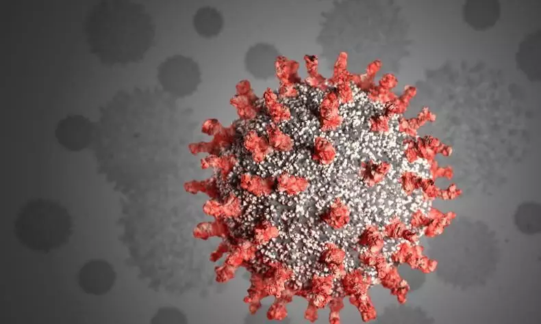 മാനദണ്ഡങ്ങൾ ലംഘിച്ച് തൊഴിലുറപ്പ് തൊഴിലാളികളുടെ യോഗം