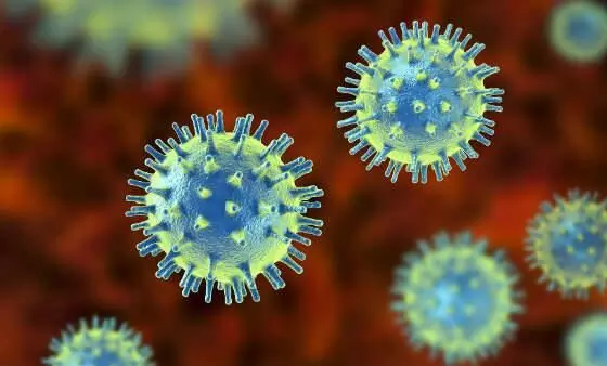 മലപ്പുറത്ത് 186 പേര്ക്ക്കൂടി കോവിഡ്; 178 പേര്ക്കും സമ്പര്ക്കത്തിലൂടെ മലപ്പുറത്ത് 186 പേര്ക്ക്കൂടി കോവിഡ്; 178 പേര്ക്കും സമ്പര്ക്കത്തിലൂടെ