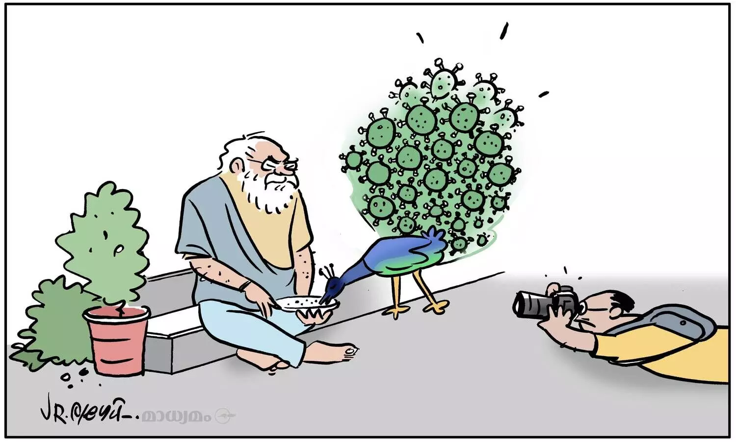 സ്.... മയിൽ പ്ലീസ്...