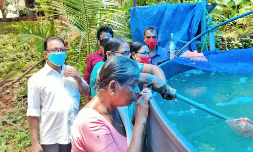 വിഷരഹിത മത്സ്യത്തിന് ബയോഫ്ലോക്ക്​ കൃഷി