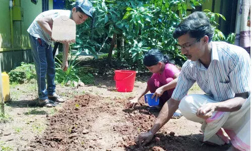 നമുക്കുമാകാം അടുക്കളത്തോട്ടം