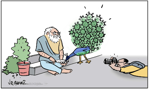 സ്.... മയിൽ പ്ലീസ്...