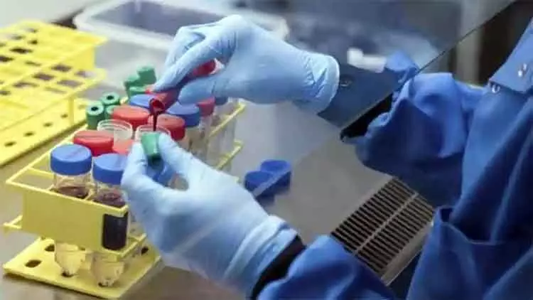 മഹാമാരിക്ക് മറുമരുന്ന് കണ്ടെത്താൻ യു.എ.ഇ പരീക്ഷണം തുടങ്ങി മഹാമാരിക്ക് മറുമരുന്ന് കണ്ടെത്താൻ യു.എ.ഇ പരീക്ഷണം തുടങ്ങി