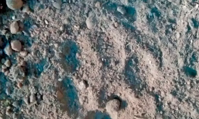 കോ​ട്ടാ​യി​യി​ൽ പു​ലി​യു​ടേ​​തെ​ന്ന്​ സം​ശ​യി​ക്കു​ന്ന കാ​ൽ​പാ​ട്​