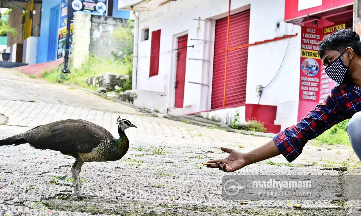 കനിവിന്‍റെ കൈനീട്ടം...