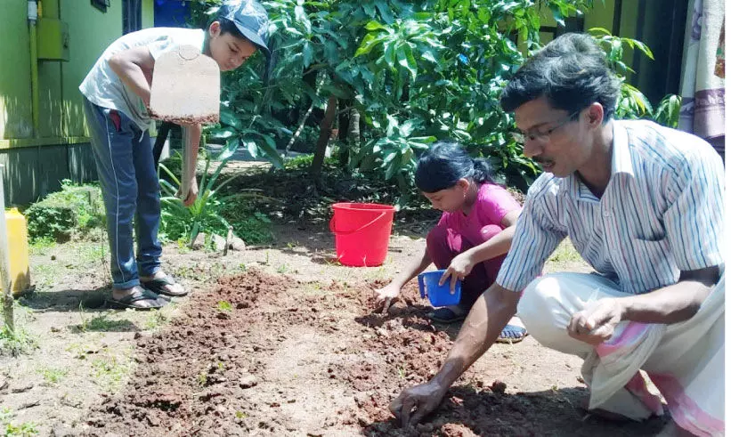 നമുക്കുമാകാം അടുക്കളത്തോട്ടം