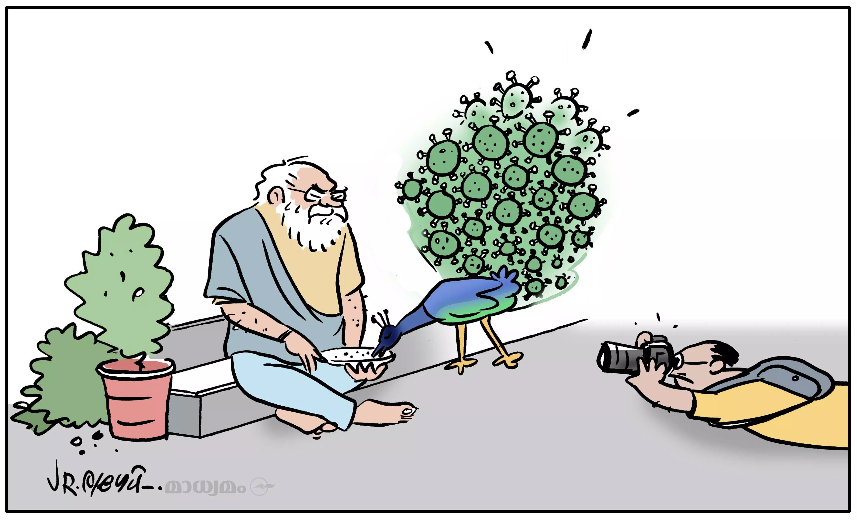 സ്.... മയിൽ പ്ലീസ്...