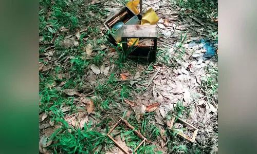 കല്‍ക്കുളം വിട്ടുപോകാതെ കരടി; ജനം ഭീതിയില്‍