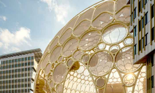 എക്​സ്​പോ 2020 ഒരുക്കം വീണ്ടും സജീവമാകുന്നു