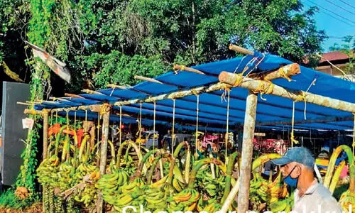 കാഴ്​ചക്കുല വിപണി സജീവം