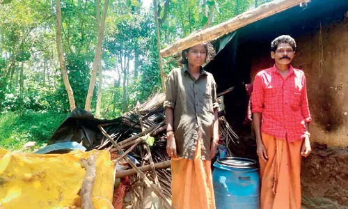 വനം വകുപ്പ് മയക്കുവെടിവെച്ച്  ചികിത്സ നൽകിയ ആന വീടുകൾ ആക്രമിച്ചു
