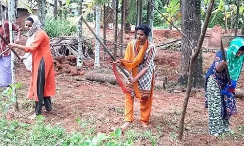 വീട്ടിലിരുന്ന്​ മടുത്തപ്പോൾ തൊഴിലുറപ്പിനിറങ്ങി മെഡിക്കൽ വിദ്യാർഥിനികൾ