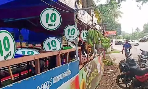 ഹിറ്റാണ്​ ഈ പത്തുരൂപ പച്ചക്കറി