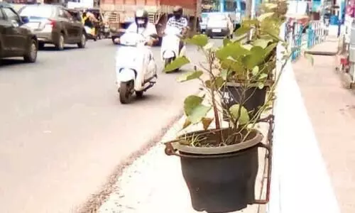 ബത്തേരിയിൽ പൂച്ചെടി വിവാദം; ടൗണിൽ പൂച്ചെടികൾ സ്ഥാപിക്കാൻ സ്വകാര്യ നഴ്സറിക്കാണ്​ കരാർ നൽകിയത്​