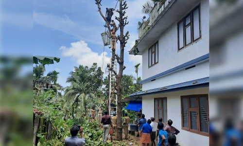 മരച്ചില്ല വെട്ടുന്നതിനിടെ കൈമുറിഞ്ഞു; 40 അടി ഉയരത്തിൽ കുടുങ്ങിയ തൊഴിലാളിയെ സാഹസികമായി രക്ഷിച്ചു