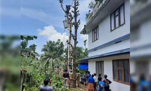 മരച്ചില്ല വെട്ടുന്നതിനിടെ കൈമുറിഞ്ഞു; 40 അടി ഉയരത്തിൽ കുടുങ്ങിയ തൊഴിലാളിയെ സാഹസികമായി രക്ഷിച്ചു