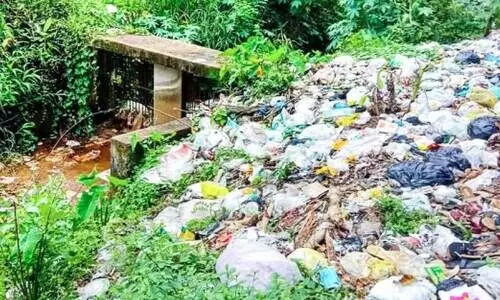 മാലിന്യവാഹിനിയായി പെരിയാർവാലി കനാലുകൾ മാലിന്യവാഹിനിയായി പെരിയാർവാലി കനാലുകൾ