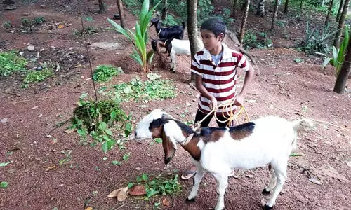 ബിജിൻ ബിജു