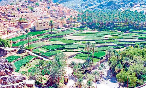 ഒമാനിൽ കൃഷിഭൂമി വർധിക്കുന്നു ഒമാനിൽ കൃഷിഭൂമി വർധിക്കുന്നു