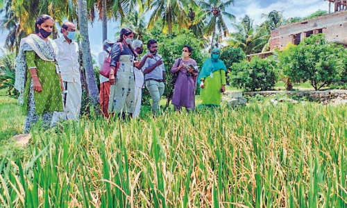 ഒാ​ല​ക​രി​ച്ചി​ൽ: വി​ദ​ഗ്​​ധ സം​ഘ​മെ​ത്തി