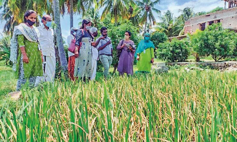 ഒാ​ല​ക​രി​ച്ചി​ൽ: വി​ദ​ഗ്​​ധ സം​ഘ​മെ​ത്തി