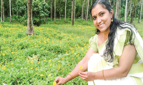 ​ലിനി ടീച്ചറുടെ നാടൻ പൂക്കൾക്ക്​ പ്രിയമേറെ