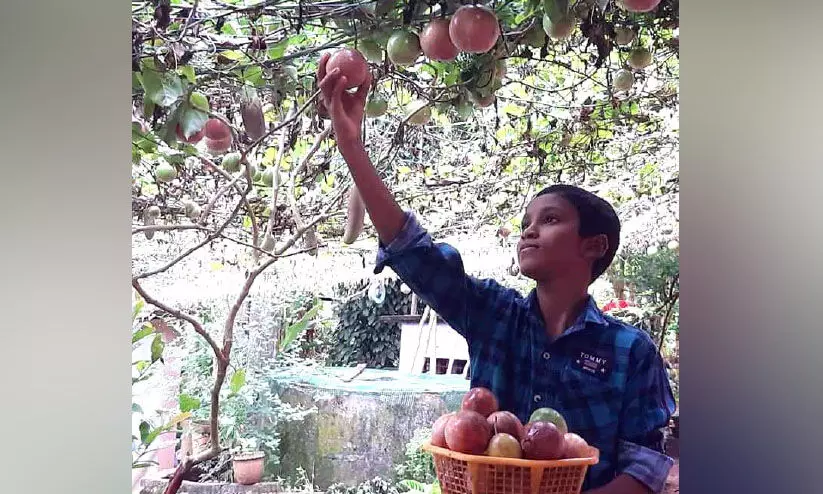 കൃഷിയെ സ്‌നേഹിക്കുന്ന ബാല്യം: ലോക്ഡൗണില്‍ തുനിഞ്ഞിറങ്ങിയപ്പോൾ ഓണത്തിനുകിട്ടി നൂറുമേനി വിളവ്