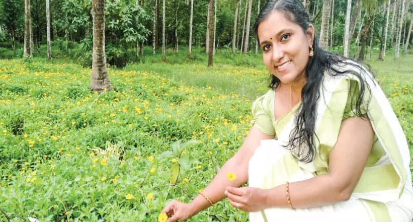 ലിനി ടീച്ചറുടെ നാടൻ പൂക്കൾക്ക് പ്രിയമേറെ ലിനി ടീച്ചറുടെ നാടൻ പൂക്കൾക്ക് പ്രിയമേറെ