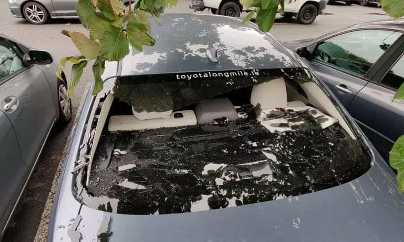 കെവിൻ ഒബ്രീന് ഇതെന്ത് പറ്റി; സിക്സടിച്ച് തകർത്തത് സ്വന്തം കാറിെൻറ ചില്ല് കെവിൻ ഒബ്രീന് ഇതെന്ത് പറ്റി; സിക്സടിച്ച് തകർത്തത് സ്വന്തം കാറിെൻറ ചില്ല്