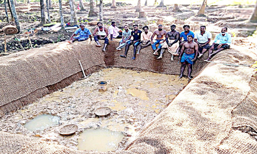 തരിശുഭൂമിയിലെ കൃഷി: യുവാക്കളുടെ കഠിനാധ്വാനം ശ്രദ്ധനേടുന്നു