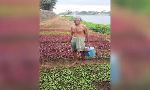 ഖാദർകുട്ടി: പെരിയാർ തീരം പച്ചക്കറിത്തോട്ടമാക്കിയ കർഷകൻ ഖാദർകുട്ടി: പെരിയാർ തീരം പച്ചക്കറിത്തോട്ടമാക്കിയ കർഷകൻ