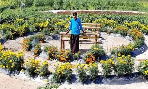 ചൊ​രി​മ​ണ​ലി​ൽ ബ​ന്ദി​പ്പൂ വ​സ​ന്ത​മൊ​രു​ക്കി    സാ​ന്ത്വ​ന ചി​കി​ത്സ സൊ​സൈ​റ്റി