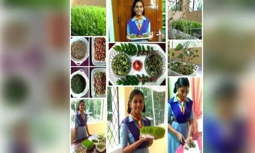 ഓണത്തിന് ഒരുമുറം ഇലക്കറിയുമായി വിദ്യാർഥികൾ