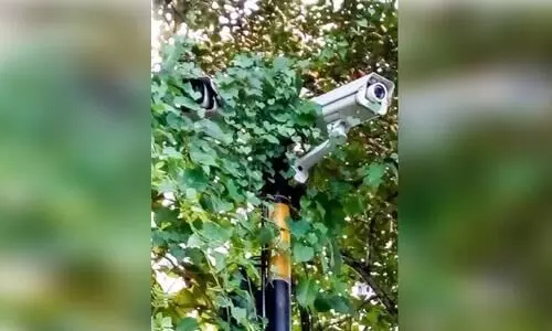 നിരീക്ഷണ കാമറ കാടുകയറി നശിക്കുന്നു നിരീക്ഷണ കാമറ കാടുകയറി നശിക്കുന്നു