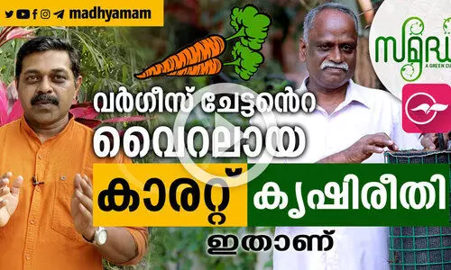 വർഗീസ് ചേട്ടന്റെ വൈറലായ കാരറ്റ് കൃഷിരീതി ഇതാണ് വർഗീസ് ചേട്ടന്റെ വൈറലായ കാരറ്റ് കൃഷിരീതി ഇതാണ്