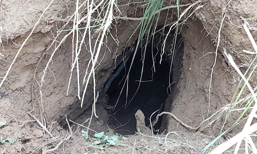 അതിർത്തിയിൽ പാകിസ്​താനിൽ നിന്ന്​ സാംബ വരെ എത്തുന്ന രഹസ്യ തുരങ്കം കണ്ടെത്തി