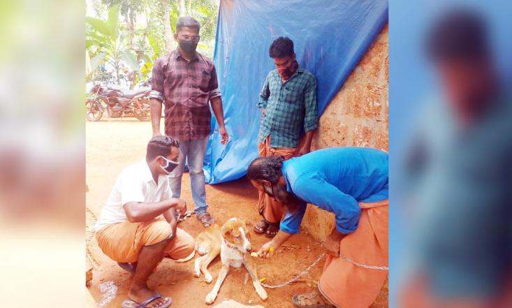 മഠത്തിൽമുക്കിെൻറ തക്കുടുവിനെ അവർ തിരിച്ചെത്തിച്ചു മഠത്തിൽമുക്കിെൻറ തക്കുടുവിനെ അവർ തിരിച്ചെത്തിച്ചു