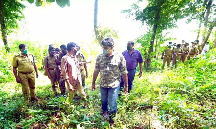 കാണാതായ യുവാവിന് വേണ്ടി സംയുക്തസംഘം വനത്തില്‍ തിരച്ചില്‍ നടത്തി
