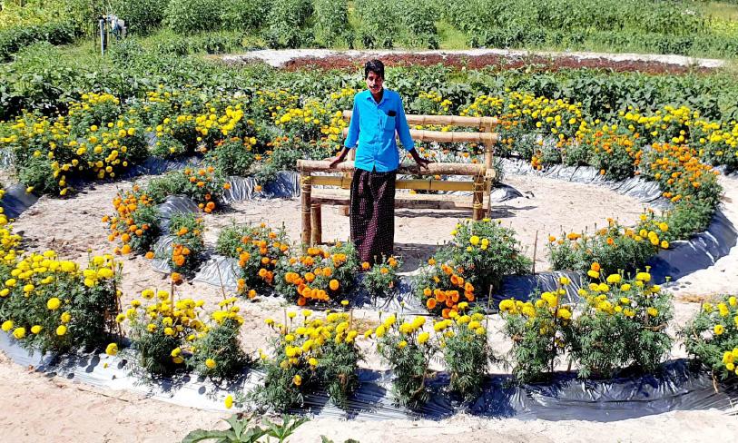 ചൊരിമണലിൽ ബന്ദിപ്പൂ വസന്തമൊരുക്കി സാന്ത്വന ചികിത്സ സൊസൈറ്റി ചൊരിമണലിൽ ബന്ദിപ്പൂ വസന്തമൊരുക്കി സാന്ത്വന ചികിത്സ സൊസൈറ്റി