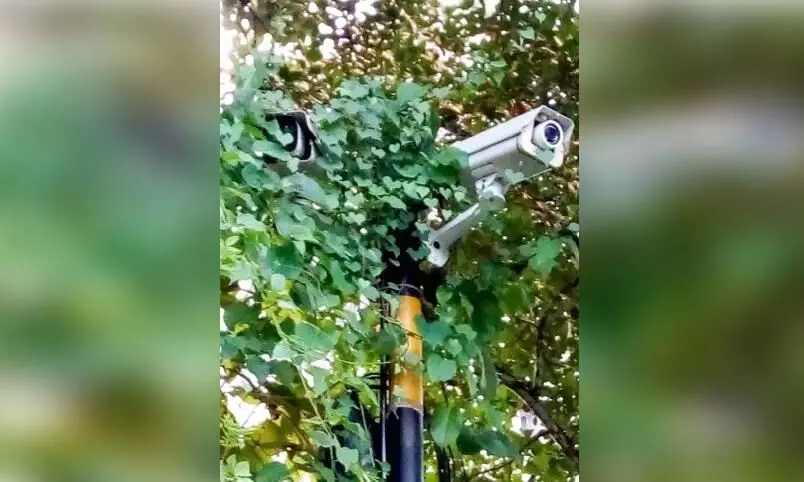 നിരീക്ഷണ കാമറ കാടുകയറി നശിക്കുന്നു നിരീക്ഷണ കാമറ കാടുകയറി നശിക്കുന്നു