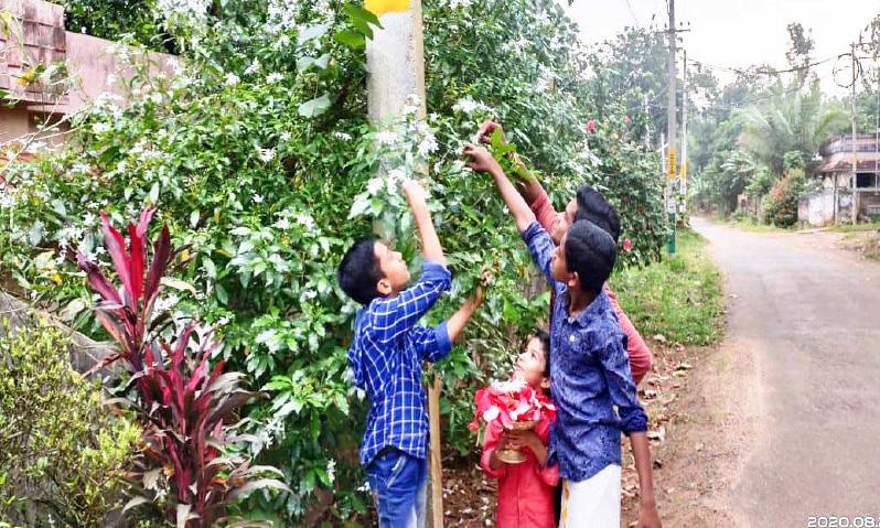 നാടന് പൂവിറുത്ത് പൂക്കളം തീര്ക്കാന് ബാലന്മാരും നാടന് പൂവിറുത്ത് പൂക്കളം തീര്ക്കാന് ബാലന്മാരും