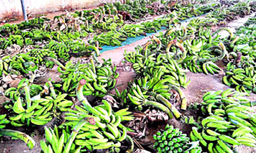 ഓണത്തിന്​ പ്രിയം നാടൻ വിഭവങ്ങൾക്ക്