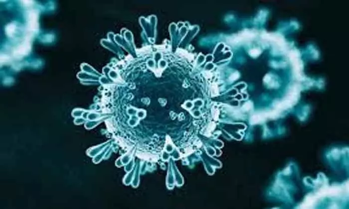 സൗദി അറേബ്യയിൽ കോവിഡ് വ്യാപനം കുറഞ്ഞു; പുതിയ േരാഗികൾ 910 മാത്രം സൗദി അറേബ്യയിൽ കോവിഡ് വ്യാപനം കുറഞ്ഞു; പുതിയ േരാഗികൾ 910 മാത്രം