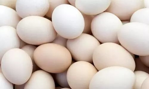 മോഷ്​ടിച്ച മുട്ട ആദായ വിൽപന നടത്തിയയാൾ പിടിയിൽ