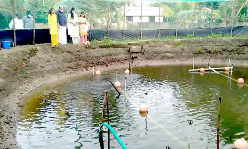 കൃഷിയിലും ഇടമുണ്ട്​​ പി. രാജീവിന്​