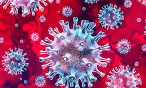 ഒമാനിൽ 178 പേർക്ക് കൂടി കോവിഡ് സ്ഥിരീകരിച്ചു ഒമാനിൽ 178 പേർക്ക് കൂടി കോവിഡ് സ്ഥിരീകരിച്ചു