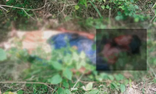 കടുവയുടെ ആക്രമണത്തിൽ ആദിവാസി യുവതി കൊല്ലപ്പെട്ടു